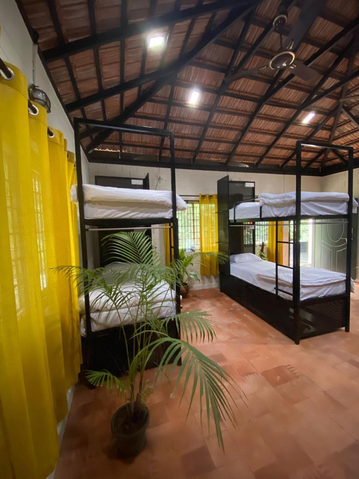 Benomadic Eco Hostel, Madikeri, Coorg Suntikoppa Ngoại thất bức ảnh