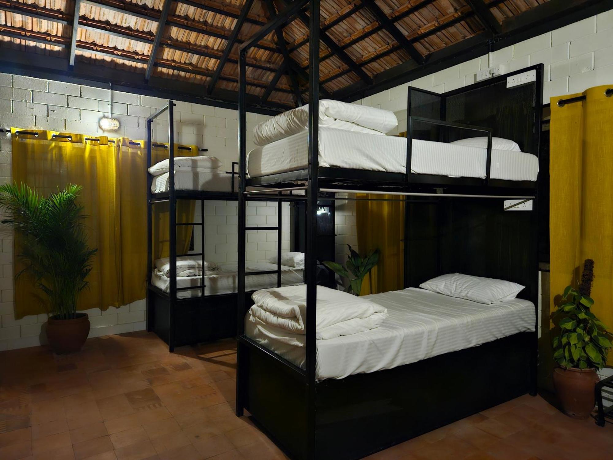 Benomadic Eco Hostel, Madikeri, Coorg Suntikoppa Ngoại thất bức ảnh