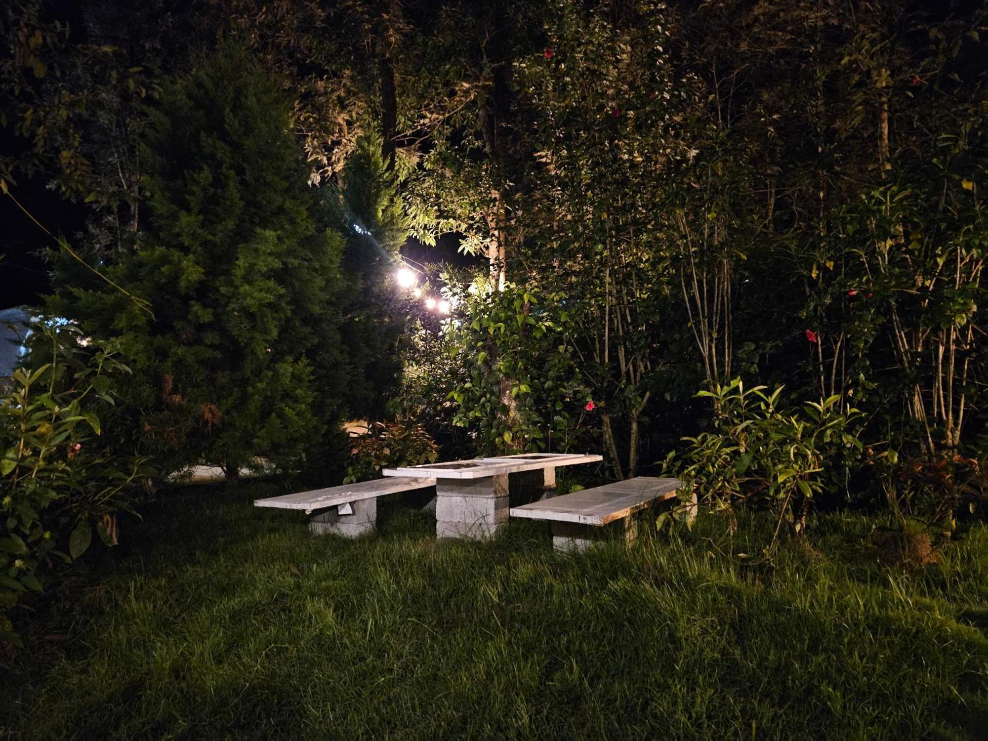 Benomadic Eco Hostel, Madikeri, Coorg Suntikoppa Ngoại thất bức ảnh